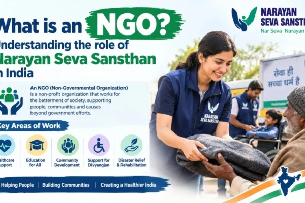 What is an NGO